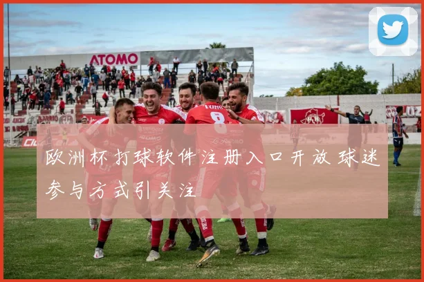 欧洲杯打球软件注册入口开放 球迷参与方式引关注