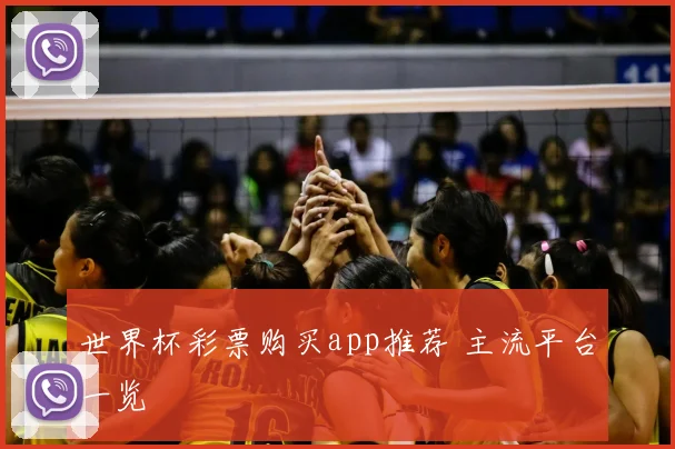 世界杯彩票购买app推荐 主流平台一览