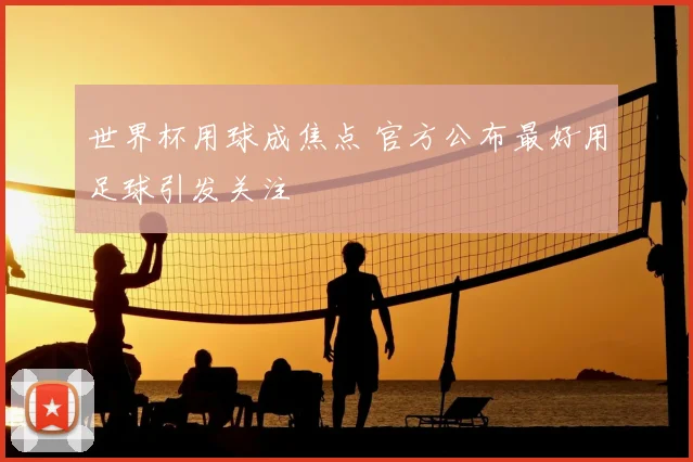 世界杯用球成焦点 官方公布最好用足球引发关注