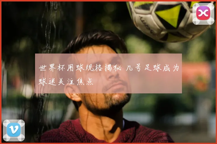 世界杯用球规格揭秘 几号足球成为球迷关注焦点