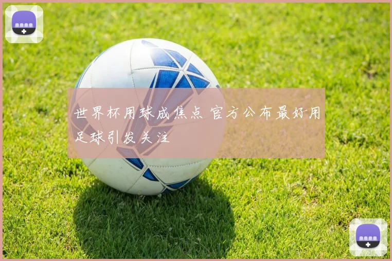 世界杯用球成焦点 官方公布最好用足球引发关注
