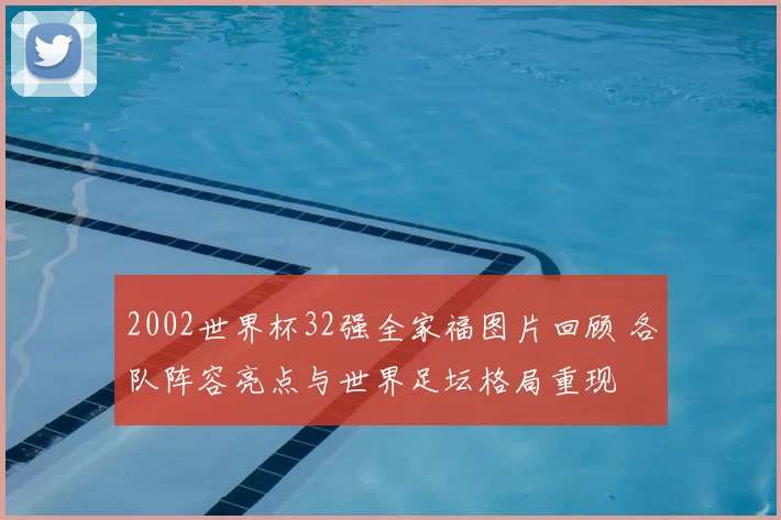 2002世界杯32强全家福图片回顾 各队阵容亮点与世界足坛格局重现
