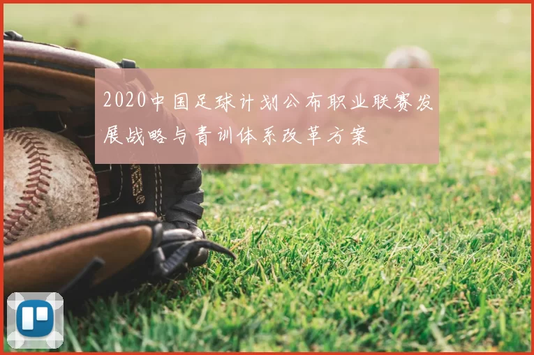 2020中国足球计划公布职业联赛发展战略与青训体系改革方案