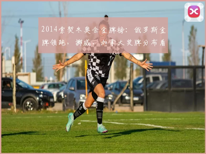 2014索契冬奥会金牌榜：俄罗斯金牌领跑，挪威、加拿大奖牌分布看点